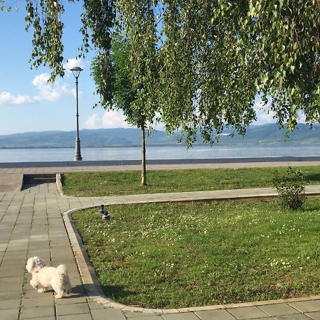 Apartmani Vidikovac Galambóc Kültér fotó