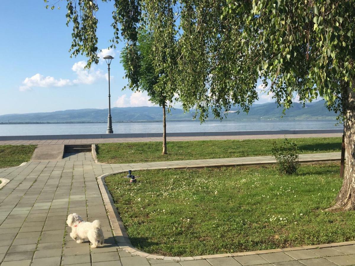 Apartmani Vidikovac Galambóc Kültér fotó